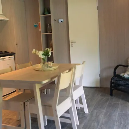 De Bosrand * Sint Geertruid