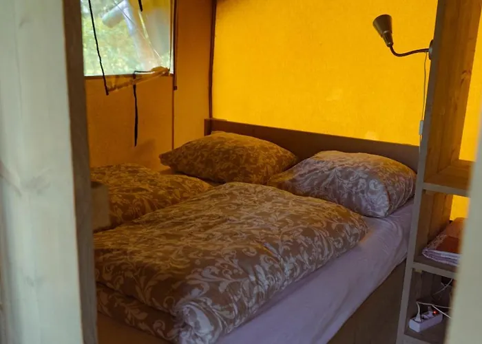 Luksusowy namiot De Bosrand *