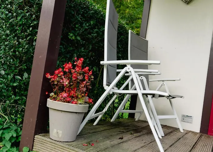 De Bosrand * Sint Geertruid