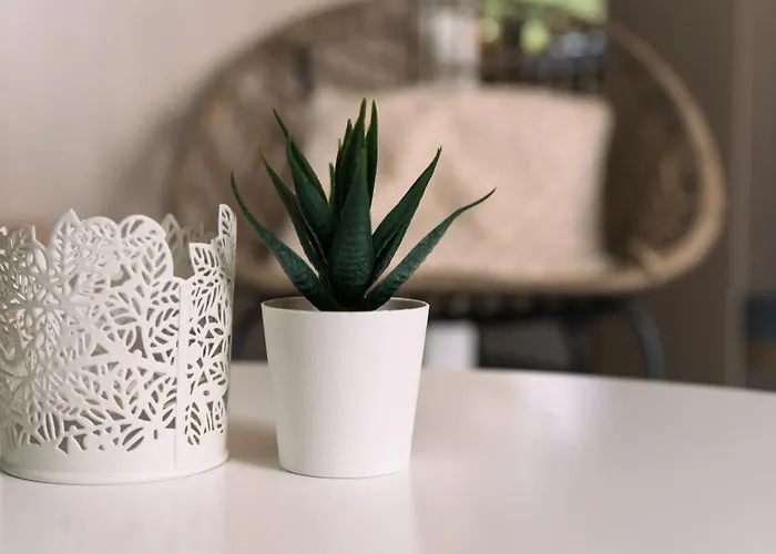 De Bosrand Luksusowy namiot Sint Geertruid