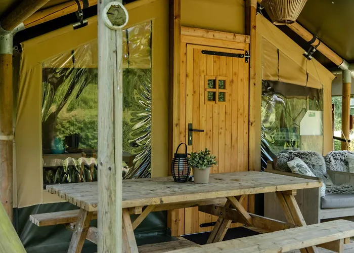 Luksusowy namiot De Bosrand *