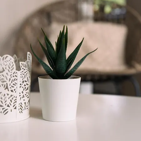 De Bosrand Luxusní stan Sint Geertruid